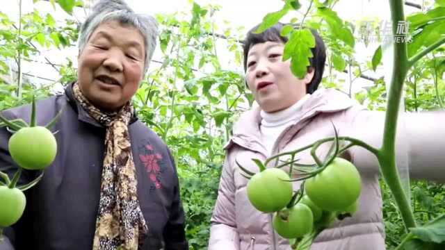 代表委员履职记|安徽省人大代表谢婷:做群众的“暖心人”