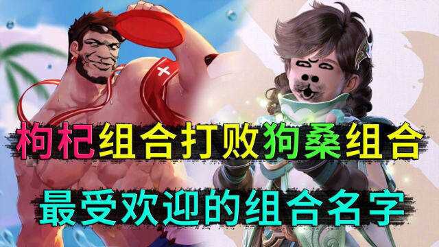 新英雄桑启,最强组合\