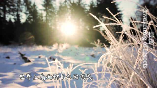 节气之书|惊蛰:春雷响 万物长