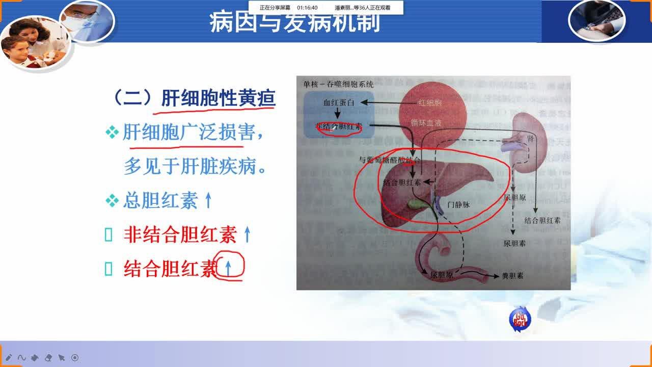健康评估4班第三章7-13节_高清