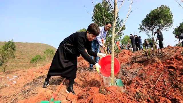 【早安,黄山】凌云:从严从紧从快从细做好疫情防控!全市外贸实现“开门红”