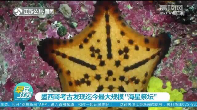 豹纹主题或与战争有关 墨西哥考古发现迄今最大规模“海星祭坛”