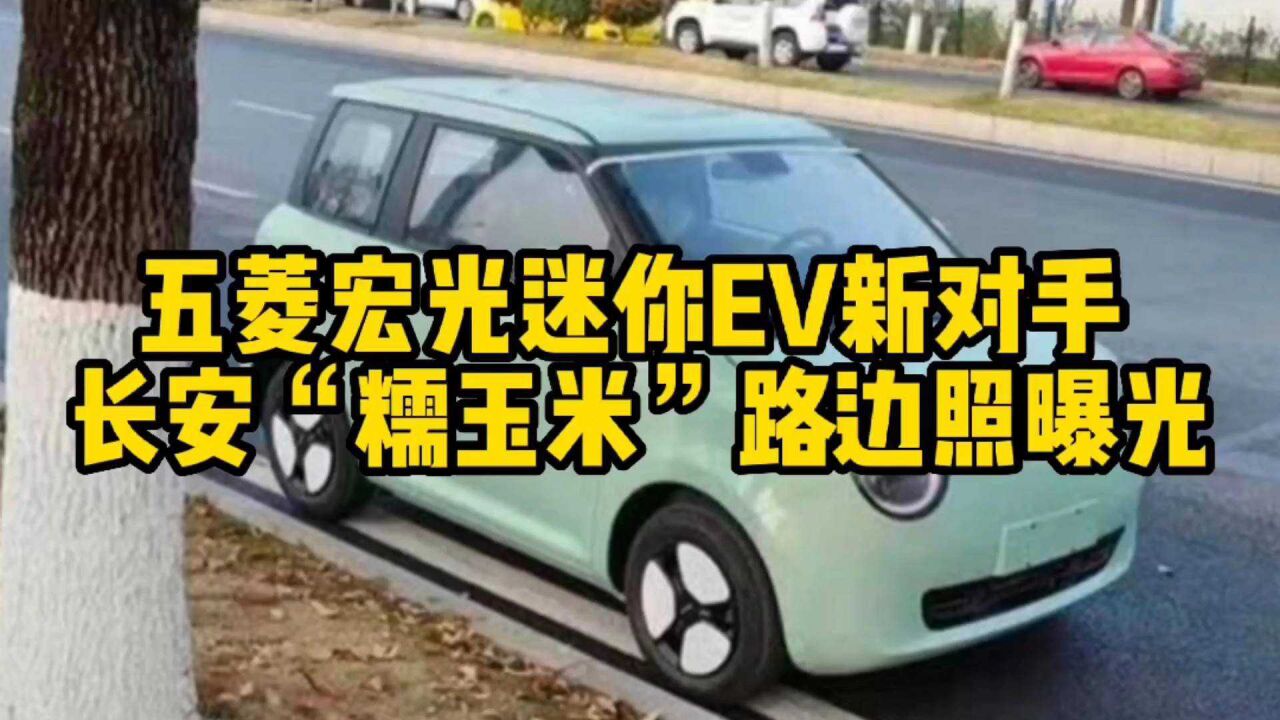 五菱宏光迷你ev新對手 長安