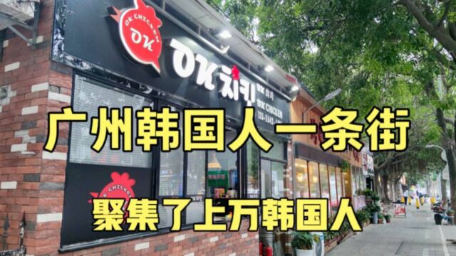 数万韩国人在广州生活,还建立了韩国人一条街,满街都是韩文商店