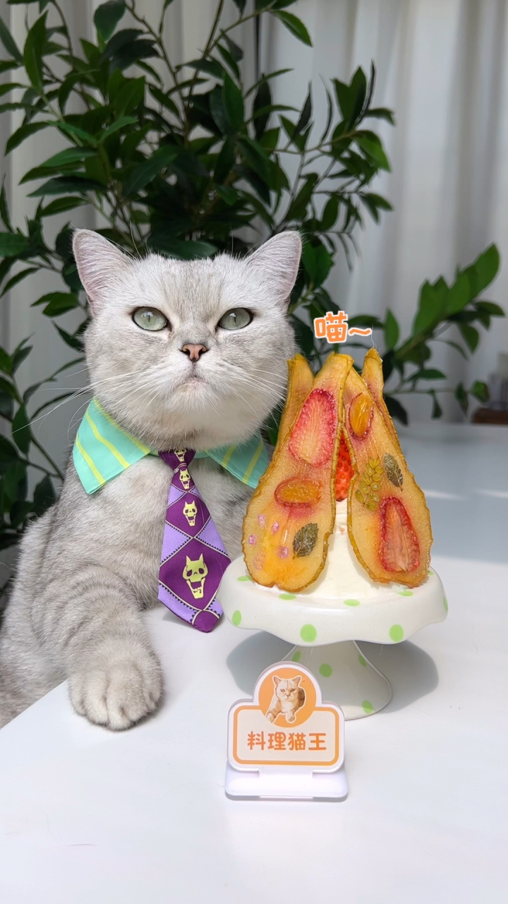 猫王:本喵教你如何将5元钱甜品变身米其林级别!_腾讯视频