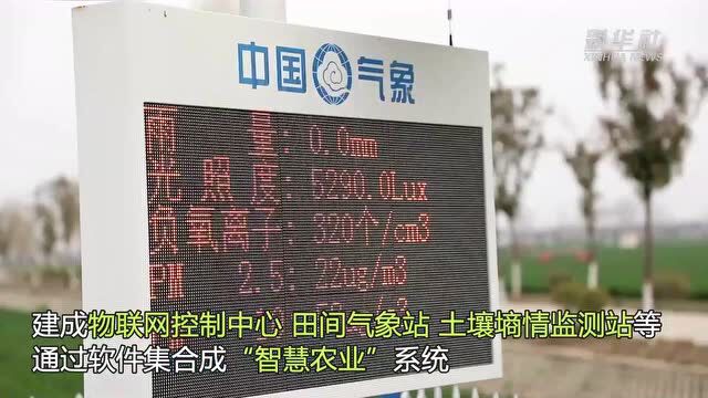 奋进新征程 建功新时代ⷤ𜟥䧥˜革丨一块“超级农田”的改革丰粮故事