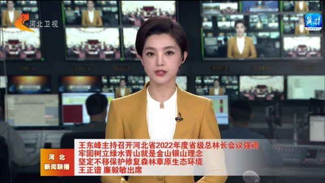 王东峰主持召开河北省2022年度省级总林长会议