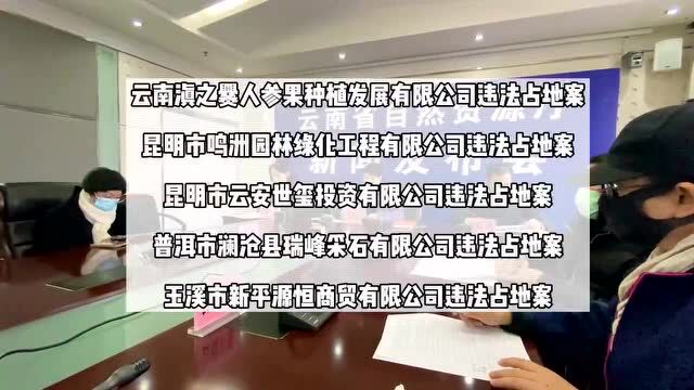 违法占地、非法采矿……云南省自然资源厅挂牌督办9起典型违法案件