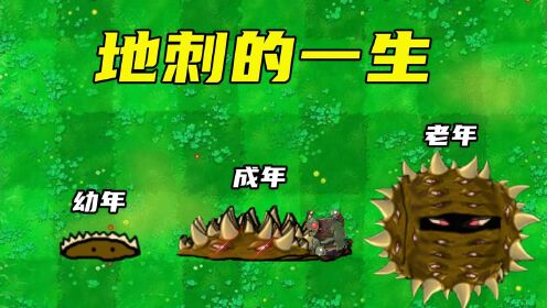 植物大战僵尸:地刺与地刺王的一生_高清1080P在线观看平台_腾讯视频