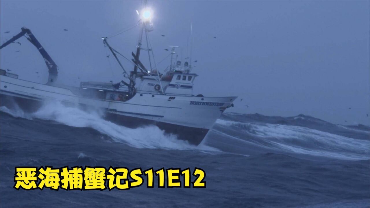 恶海捕蟹记s11e12,西北号扛着台风打捞蟹笼,席格森船长再次成功