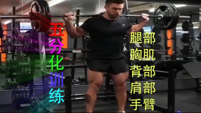 五分化训练,腿部训练,背部训练