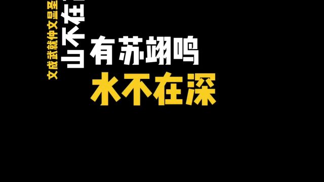 文成武就仲文显圣真君