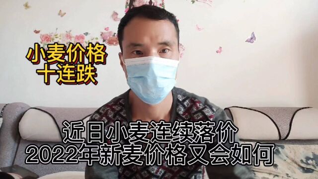 小麦价格十连跌!2022年新麦价格又会如何呢?