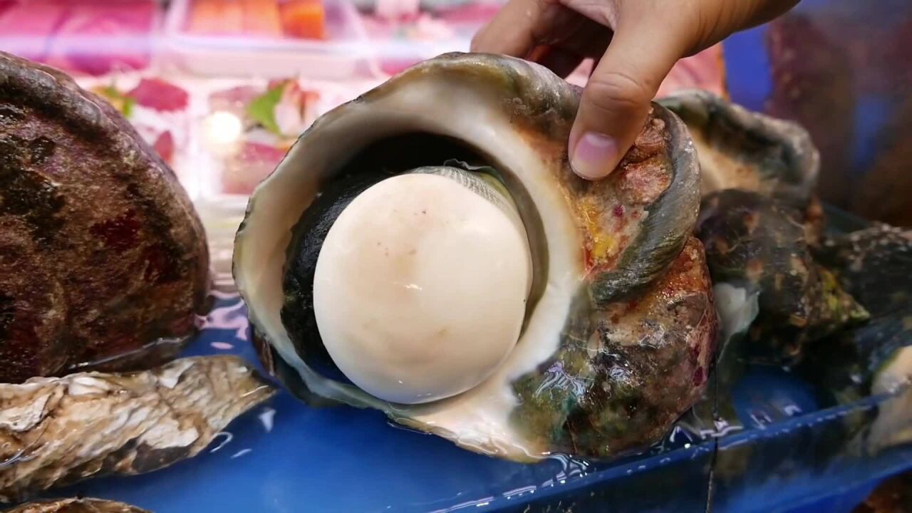 海蜗牛刺身,竟然还开出了玉,无价之宝,这下渔民很懊恼