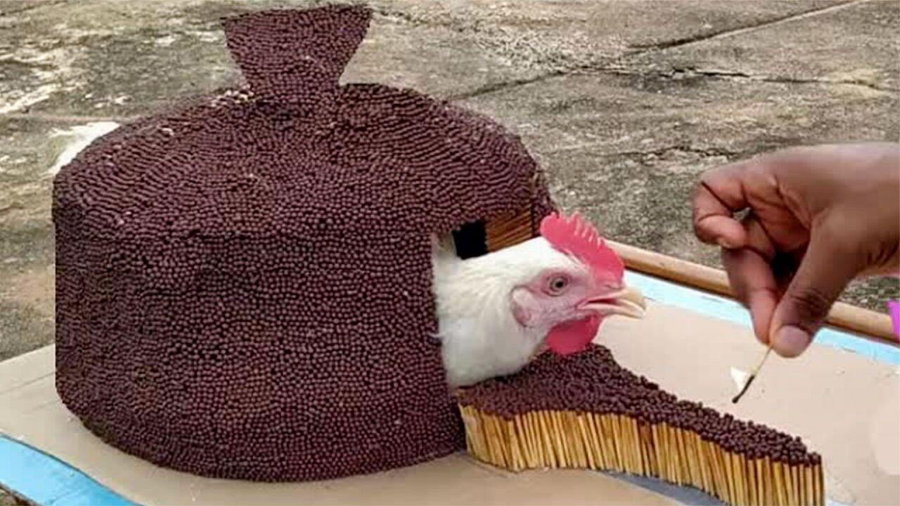 1只小鸡仔被1600度的岩浆活活烤熟!看得直冒冷汗