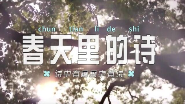 春天里的诗——太原市万柏林区河北街小学