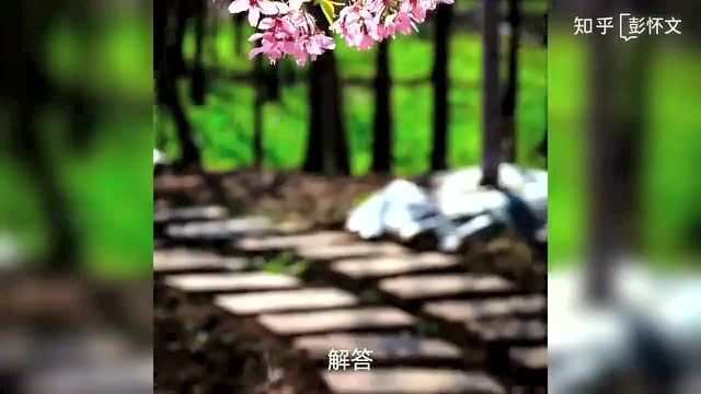 加油站卷式发票丢失需要报销,去加油站系统里查到但无法打印.请问怎么报销?