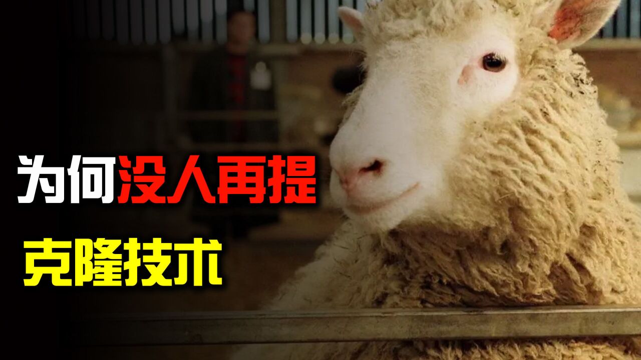 看看克隆羊多莉的结局,就明白了