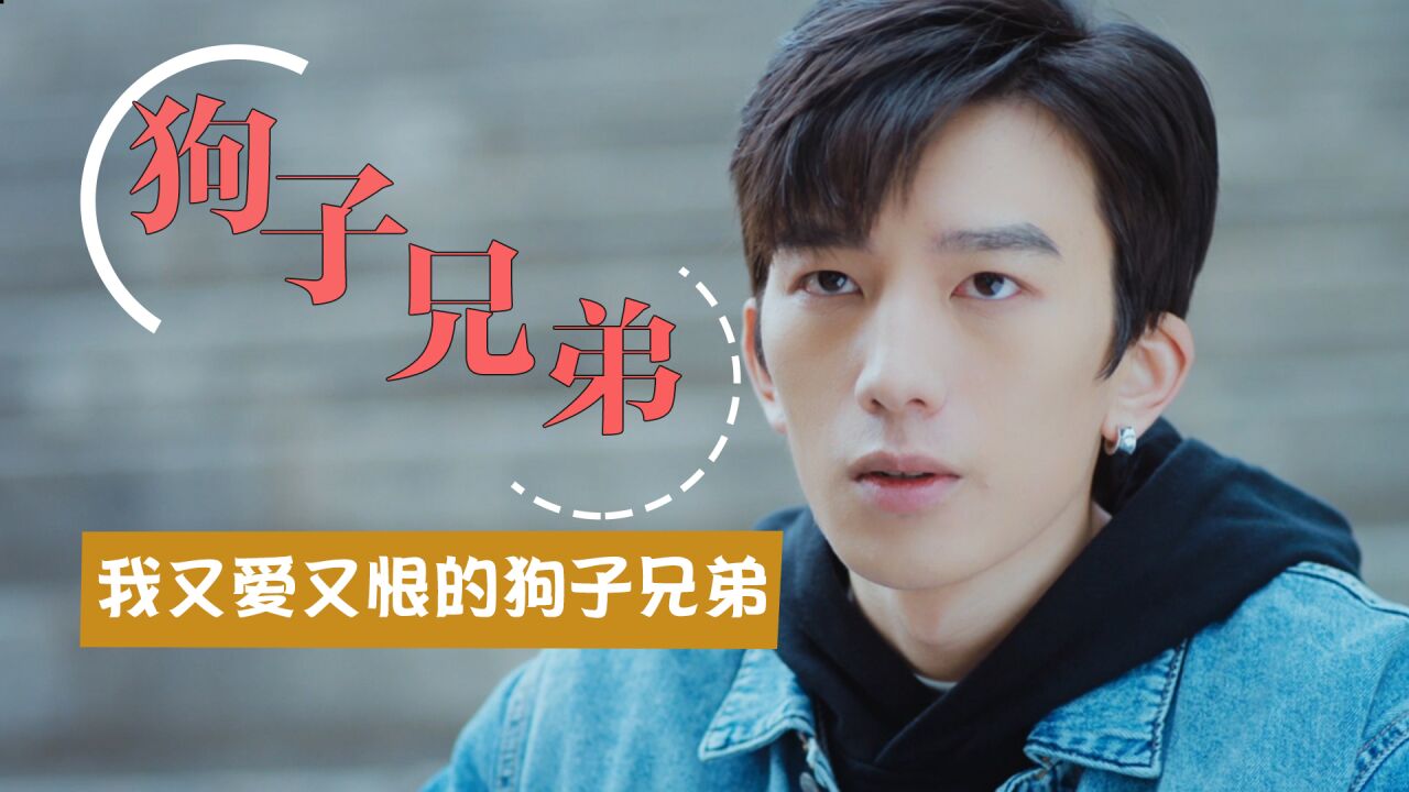 兄弟不可能这么萌:以狗子的视角,看好兄弟如何互帮互助_腾讯视频
