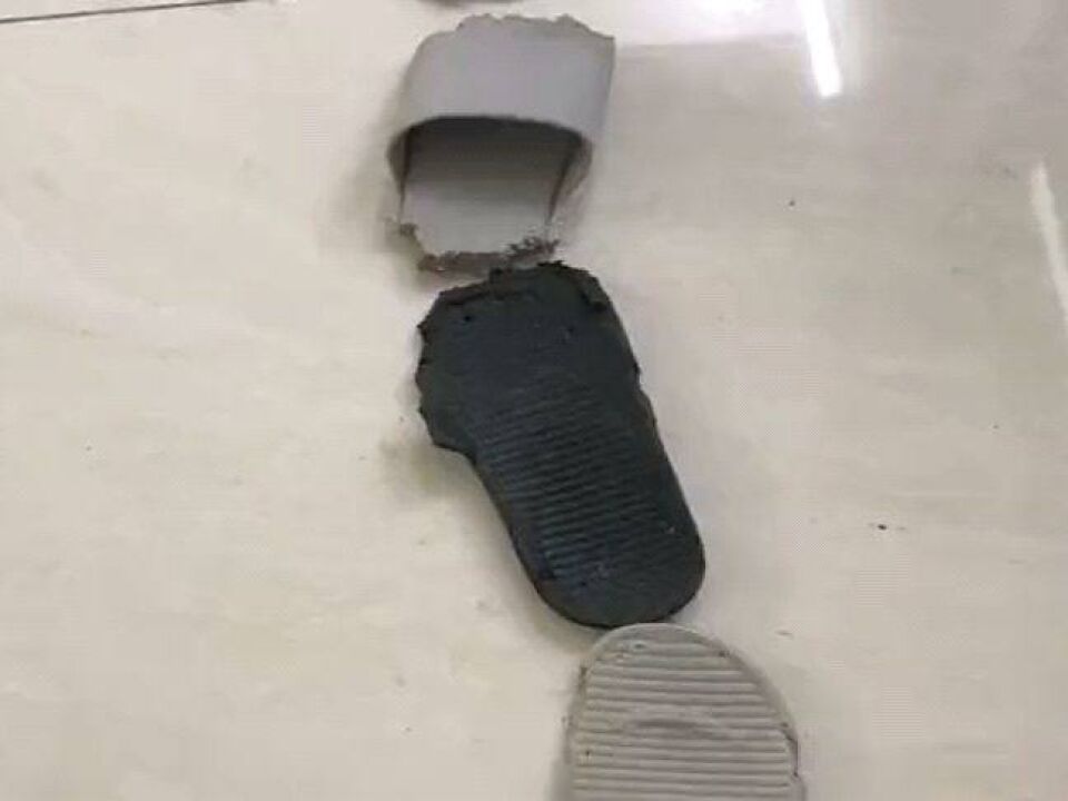 狗狗咬坏主人拖鞋,趴在地上主动认错,姿势也是没谁了!