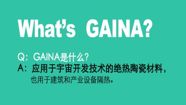 GAINA是什么