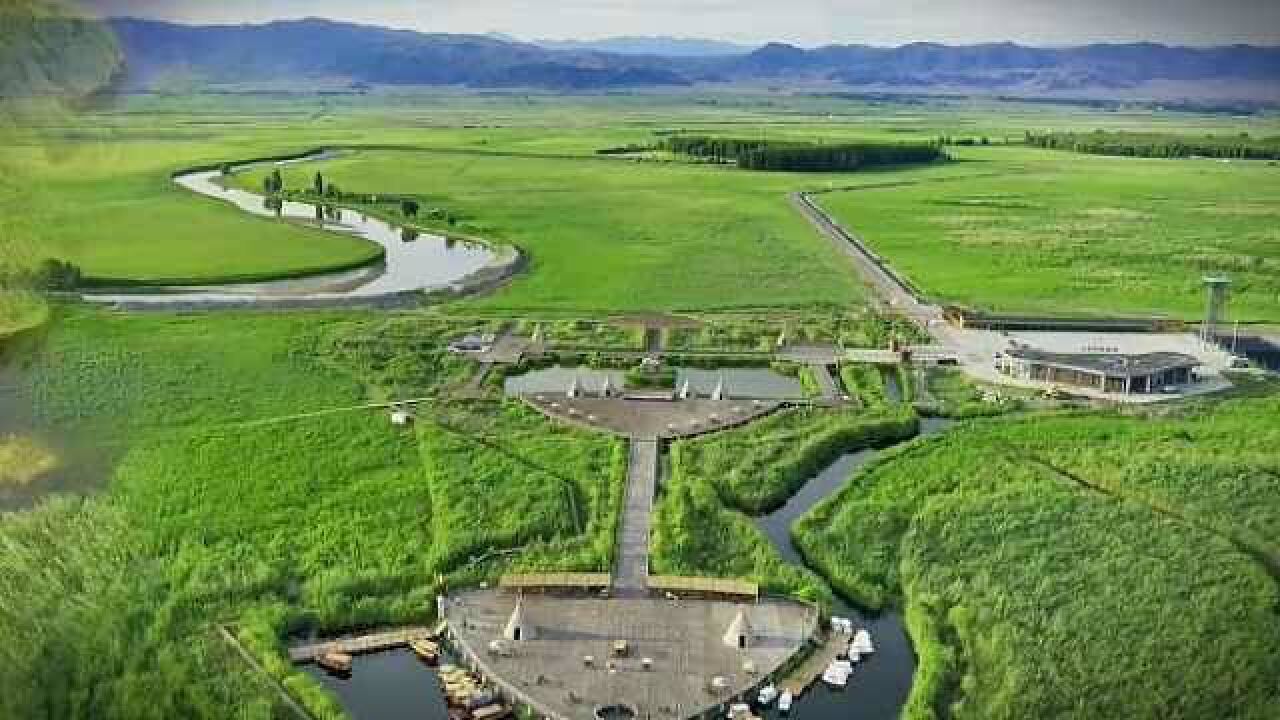 新疆伊犁那拉提国家湿地公园