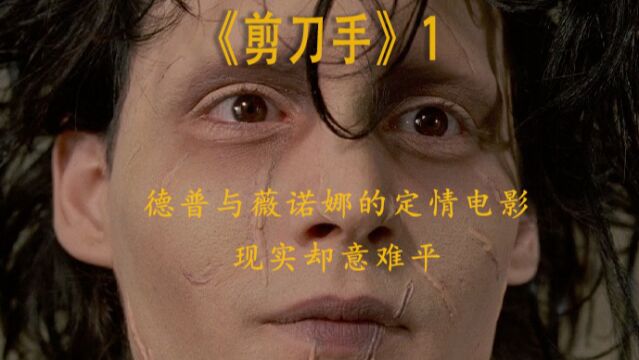 爱情片:一个拥有56道疤痕的男人《剪刀手》