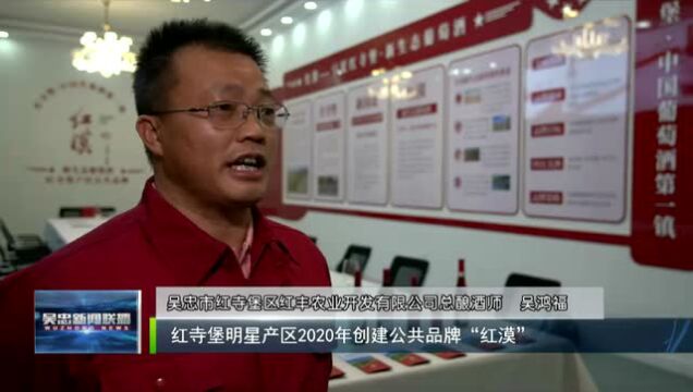 吴忠市红寺堡区:生态移民新城的“紫色名片”