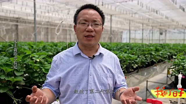 我们的日子 | 穿着皮鞋种地、用互联网思维做茶……现代农业超有范儿