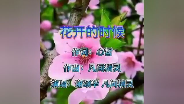 原创音乐欣赏《花开的时候》 作词:心哲 作曲:凡间精灵 演唱:凡间精灵 谢颂华