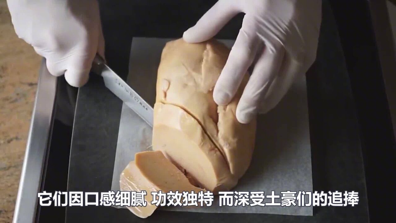 鹅肝被称为"顶级残忍美食",看完整个喂养过程,你还吃得下吗!