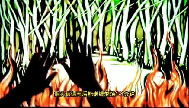 共守美好家园 | 沙画:如何预防森林火灾