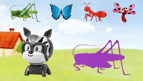 冒险小狗帮来到草地上观察昆虫，一起来认识吧