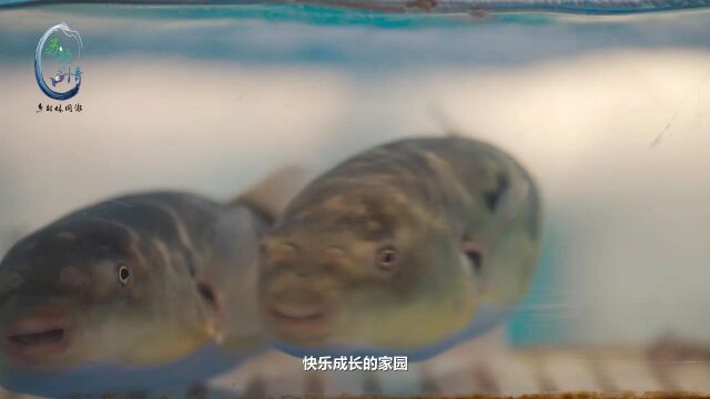 南通,河海交汇串联起田园水色好风光