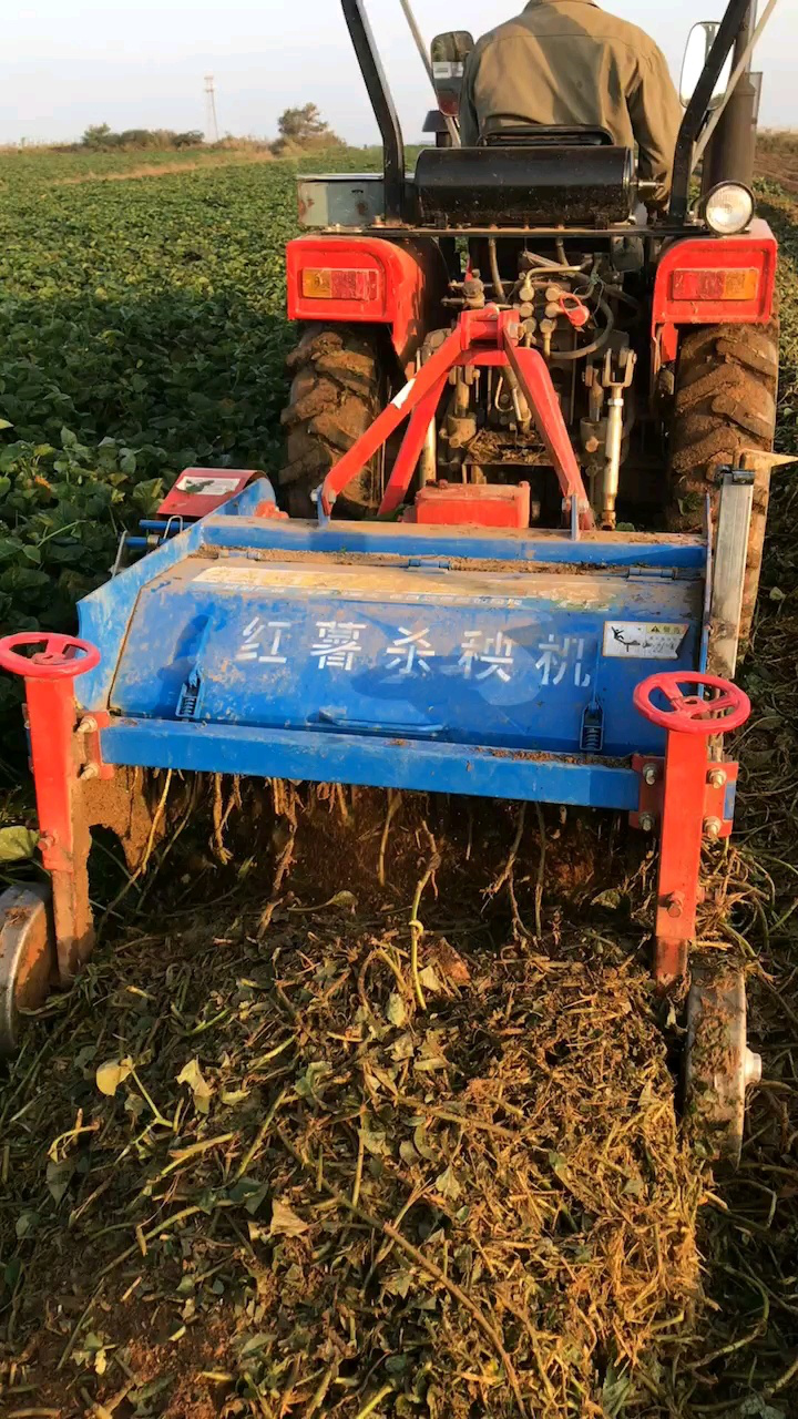 红薯杀秧机#红薯割秧机#土豆杀秧机#甘薯杀秧机#地瓜铲秧机#红薯打秧