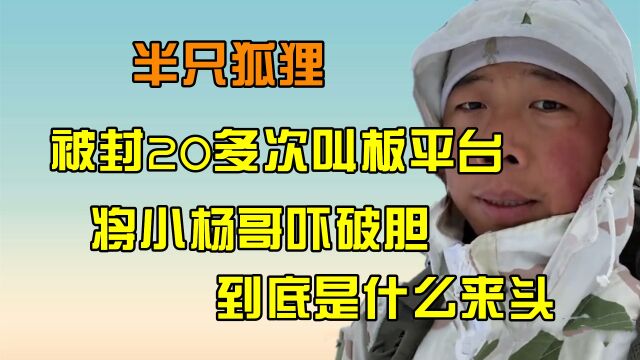 半只狐狸:硬核吃鸡爆红网络,自曝一条命只值15万,因国籍被质疑