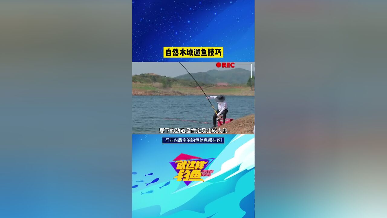 《就这样钓鱼》