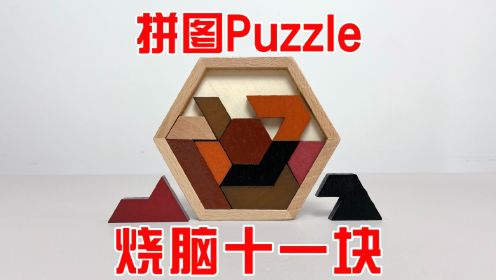 拼图Puzzle：烧脑十一块！8种拼图如何完美放入框内？