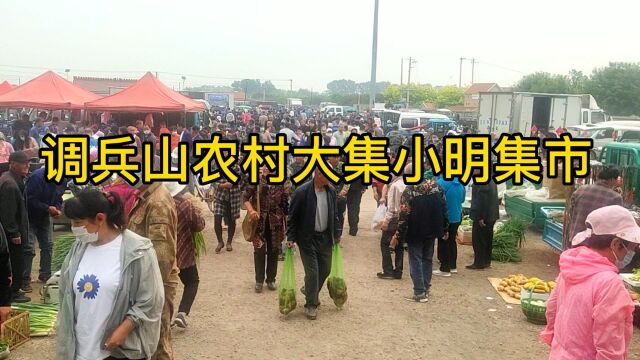 解封后,调兵山农村大集小明集市的情况.