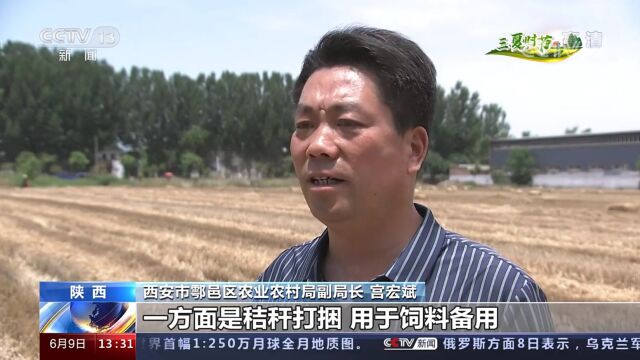 媒体聚焦新鄠邑 | 央视报道我区高质量夏收工作