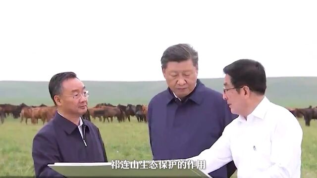 总书记心中的美丽中国ⷥ𑱢€”—人不负青山 青山定不负人