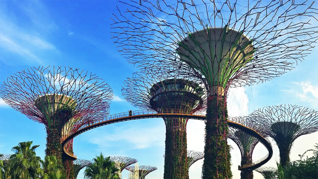 世界上最独特的花园,有18座50米高的超级树,60%的植物来自全球