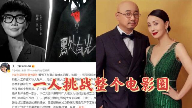 欢喜传媒被女导演实名举报税务虚假,揭开了徐峥全身而退的秘密!