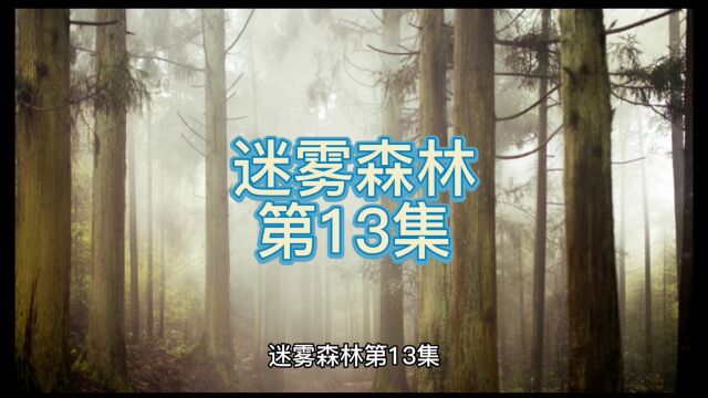 迷雾森林第13集