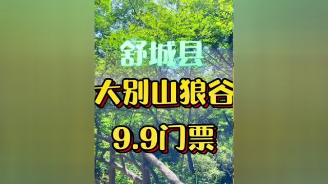 在大别山深处有一个风景区狼谷!名片只要9.9#暑假去哪玩 #周边游 #户外 #一起去野餐吧 #避暑