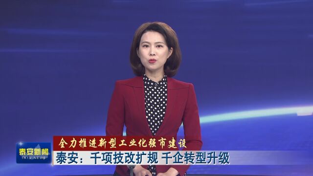 泰安:千项技改扩规 千企转型升级