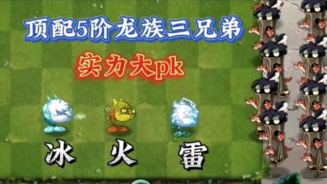 植物大战僵尸2:冰火雷龙系三兄弟.谁实力最强?