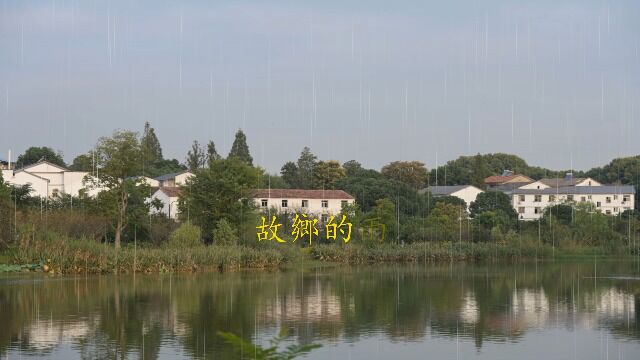 故乡的雨笛子独奏琴台乐坊