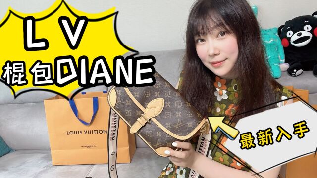 2022LV Diane热门包包法棍包