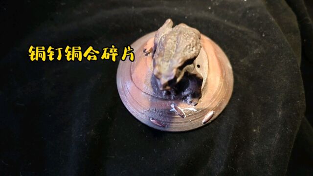 粉丝心爱的壶盖子碎了做了三颗锔钉锔合修复